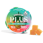 Island Maui Haze Solventless Hash Gummies