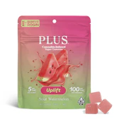Sour Watermelon (Live Rosin) Gummies - 100mg (S) - PLUS