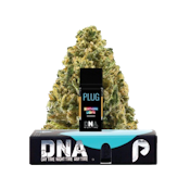 PLUGPLAY - Northern Lights Pod 1000mg