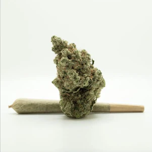 AGL - AGL 1g Select Grind Pre Roll Blue Zashimi (H) 00430