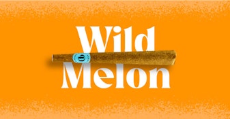 Doinks - Wild Melon Flavor Infused Blunt - 1g