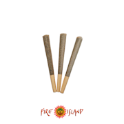 Apples & Bananas 1g Shake & Trim Preroll - FUEL CANNABIS