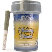Blueberry Brunch 3.5g 10 Pack Mini Pre Rolls - Pacific Reserve