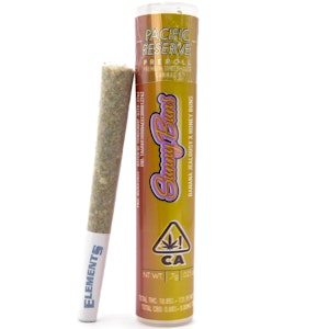 Pacific Reserve - Sunny Buns .7g Pre-Roll - Pacific Reserve