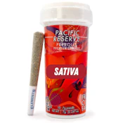 Triangle Thai 7g 10 Pack Pre-Rolls - Pacific Reserve