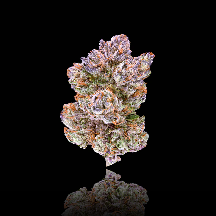 Maven Genetics - Maven Genetics - Pre 98 bubba kush 3.5 Main Image