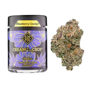 Cream Of The Crop | Blueberry Caviar | Pre-Pack | [3.5g] | Indica