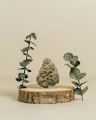 Wedding Cake | 3.5g | Pre-Pack Flower | CornerStore Cultivation 