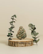 Dream Machine | Pre-Pack Flower | 3.5g | Alt Sol