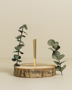 Molecular Farms - Sweet Tea OG | Prerolls | 0.7g | Molecular Farms