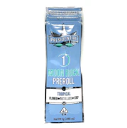 Presidential - 1g Moonrock Preroll - Tropical
