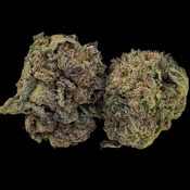 Blueberry Tarts -- Ounce