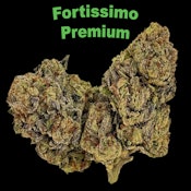 Fortissimo - Ounce