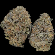 Monster Glue - Ounce