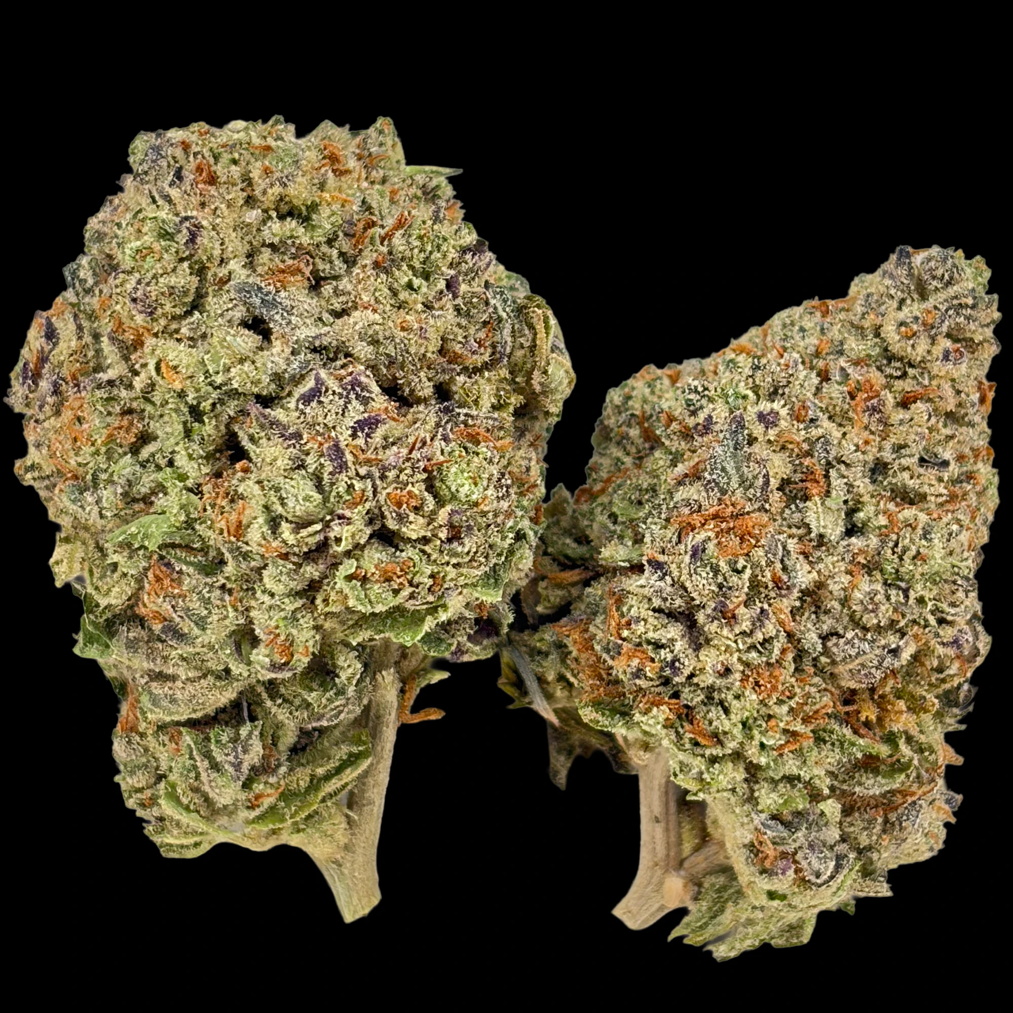 DC Space Club - Oreo Cake - Ounce Main Image