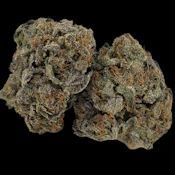 Purple Gushers -- Ounce