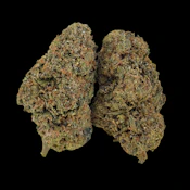 Trapnana - Ounce