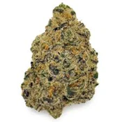 Dark Rainbow | Flwr Pot | Bulk Flower