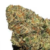 ZOAP | Flwr Pot | Bulk Flower