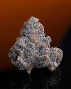 Superboof | Flwr Pot | Bulk Flower