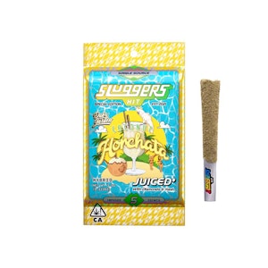 HIT SLUGGERS -  5pk - Coconut Horchata - 3.5g (H) - Sluggers 
