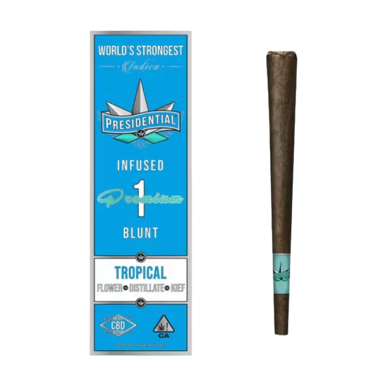 Presidential - Presidential - Preroll - Blunt - Tropical - 1.5G Main Image