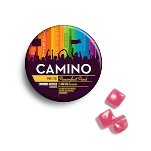 CAMINO - Camino | Pride Passionfruit Punch | 100mg