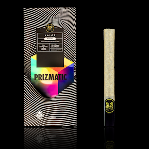 MAVEN GENETICS - Infused Preroll - Prizmatic (Halos) - Solventless  -1.9g (H) - Maven