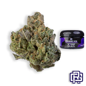 PRUF CULTIVAR - Prodigy #10 Flower | Quarter Special