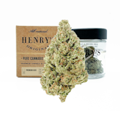 Henry's | Premium Jack | Pre-Pack | [3.5g] | Sativa