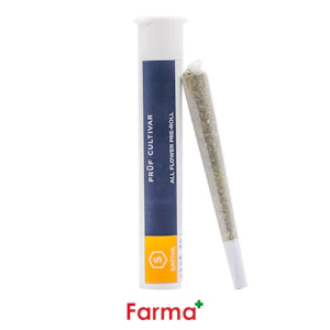 PRUF CULTIVAR - Pruf Cultivar Jack Herer Single Pre-Roll 1g