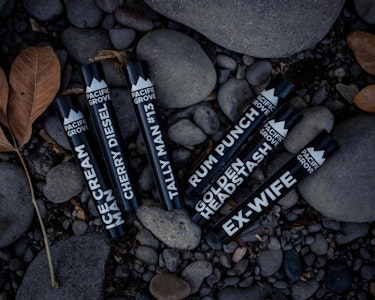 PACIFIC GROVE - Megladon, 1g