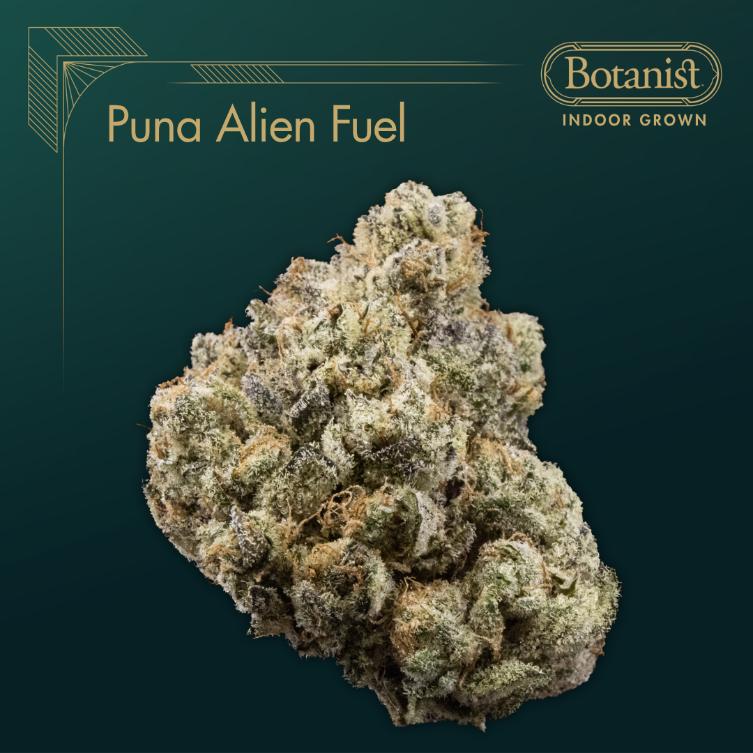 Botanist | Puna Alien Fuel | 3.5g