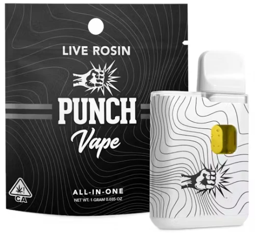 PUNCH - PUNCH - AIO - Tangie Cookies - Live Rosin - 1G Main Image