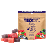 PUNCH - Berry Full Spectrum Fruit Snacks 100mg