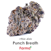 Arise Labs Punch Breath