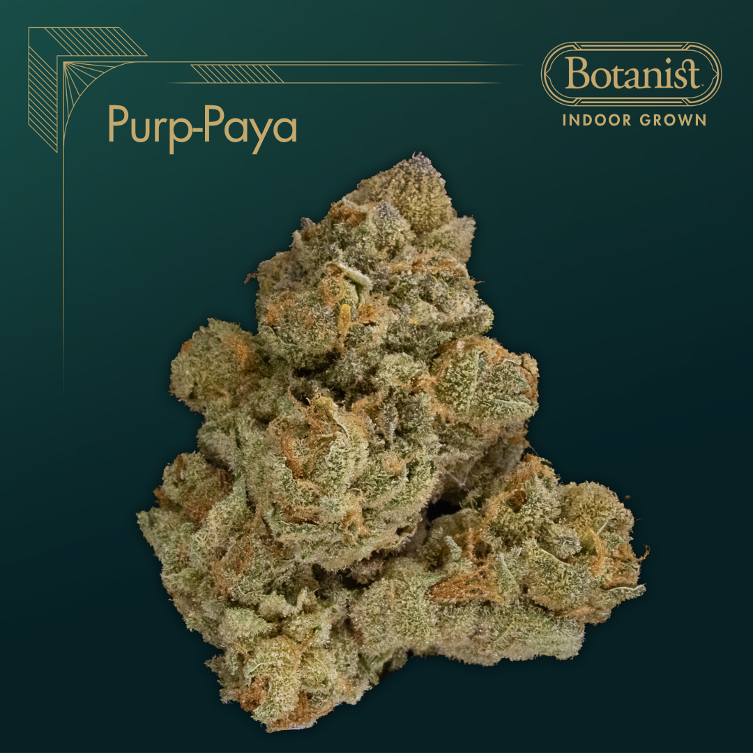 Botanist | Purp Paya | 14g