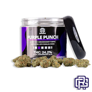 45th Parallel - Purple Punch Flower | Oz Special