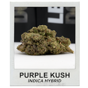 Purple Kush