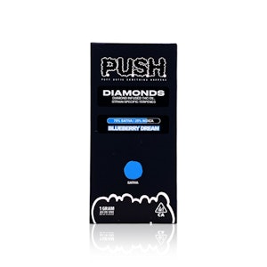 PUSH - PUSH - Disposable - Blueberry Dream - 1G