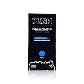 PUSH - Disposable - Blueberry Dream - 1G