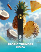 Platinum Vape Tropic Thunder (Hybrid) 510 thread cartridge 1mL