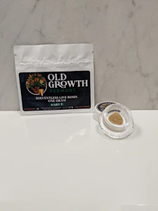 Old Growth Vermont - Old Growth | Gary P. Live Rosin | 1G