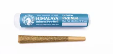 HIMALAYA - Himalaya 1g Pack Mule Infused Preroll Main Image