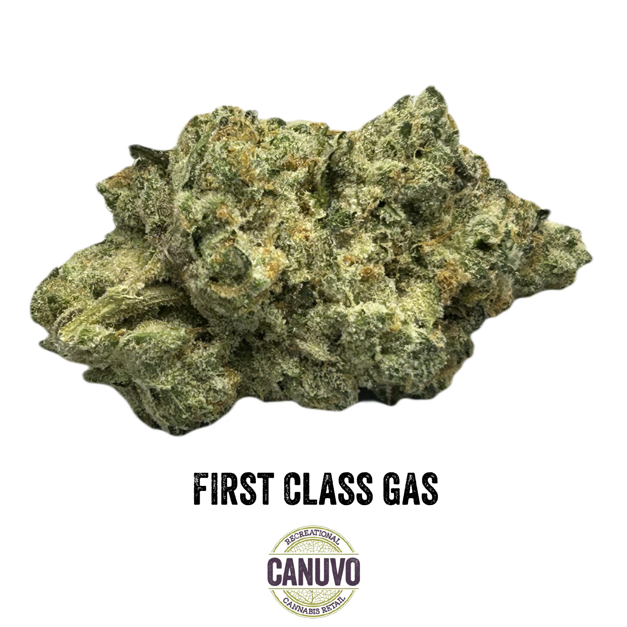 Canuvo Cultivation - Canuvo | First Class Gas | 3.5g [I] Main Image