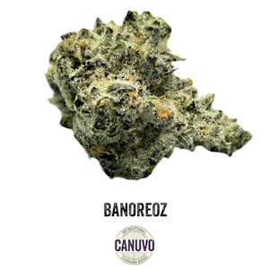 Canuvo Cultivation - Canuvo | Banoreoz | 7g [H]