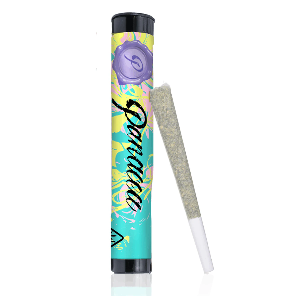Panacea - Lemon Cherry Gelato Preroll (1g) Main Image
