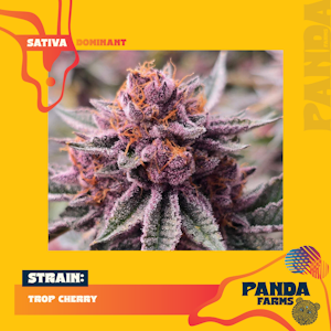 Panda Farms - Panda Farms | Flower | Trop Cherry | 3.5g 