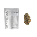 Papaya Cake 3.5g Sungrown Flower | Aeterna