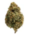 Product Preview Image 1
